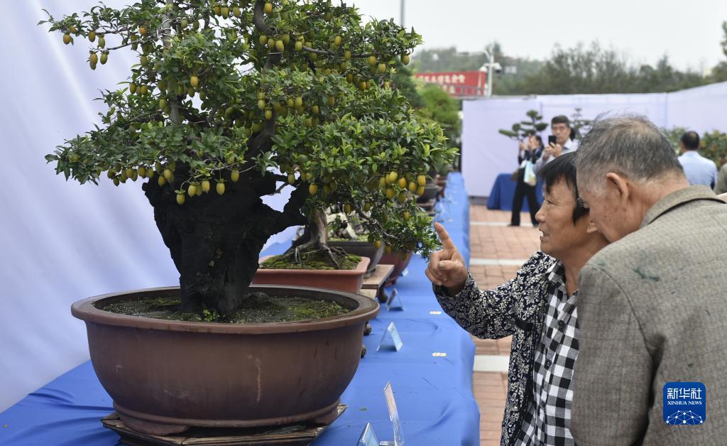 万人炸金花下载